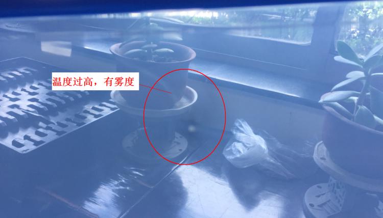 注塑製品質量缺陷分析（六）造成製品表麵有霧度的主要原因是什麽？